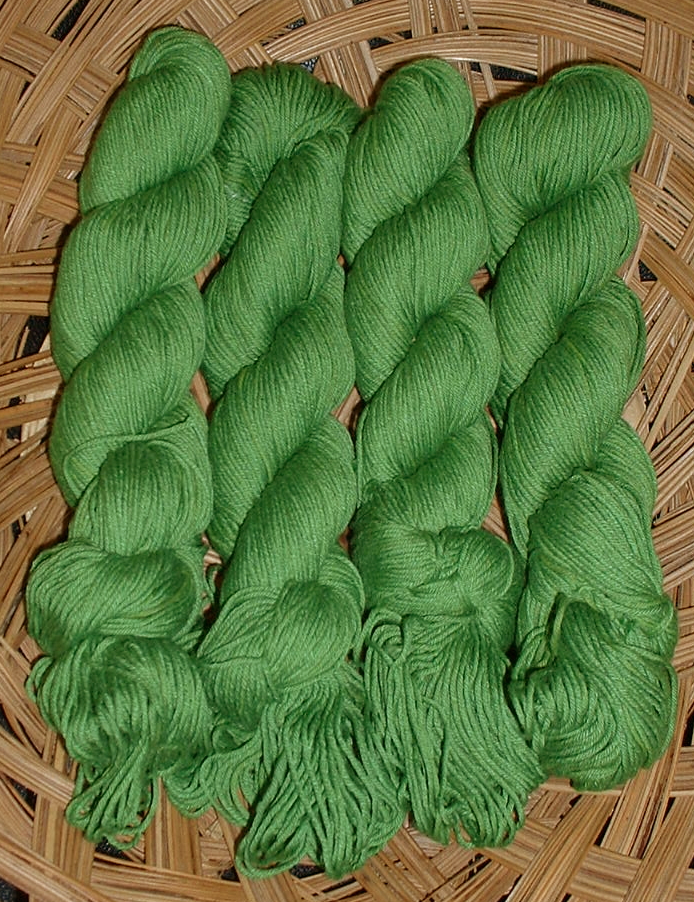 egycactus